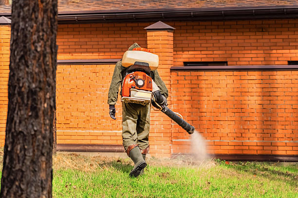 Bed Bug Clearance Verification and Documentation in Kaaawa